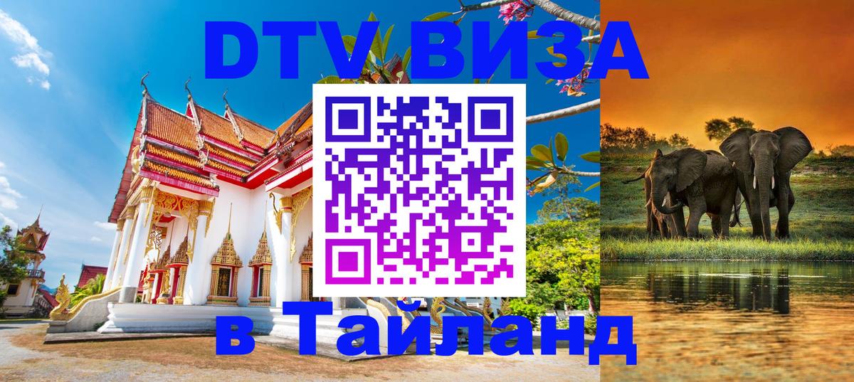 Оформление DTV визы под ключ: стоимость и тарифы, только загранпаспорт - Любляна  07.01.2026 